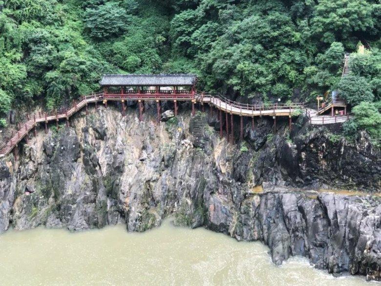 春雨直播app